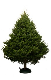 9 ft. Christmas Tree